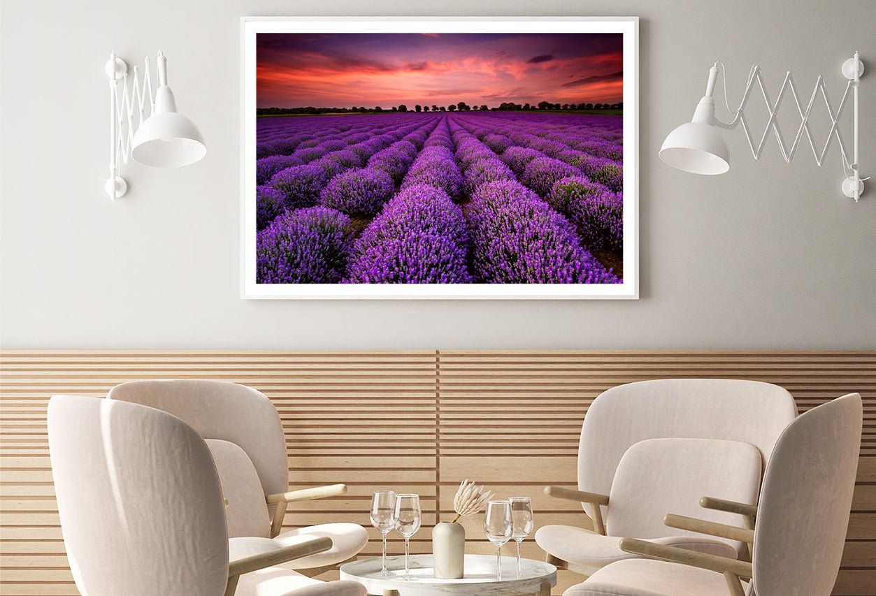 A Field Of Purple Flowers under a Sky with Clouds Home Decor Premium Quality Poster Print Choose Your Sizes