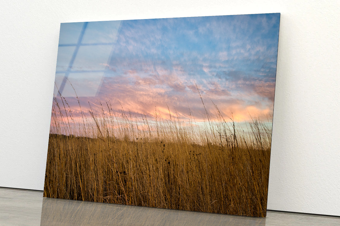 Sunset over Grasses with Beautiful Sky Acrylic Glass Print Tempered Glass Wall Art 100% Made in Australia Ready to Hang