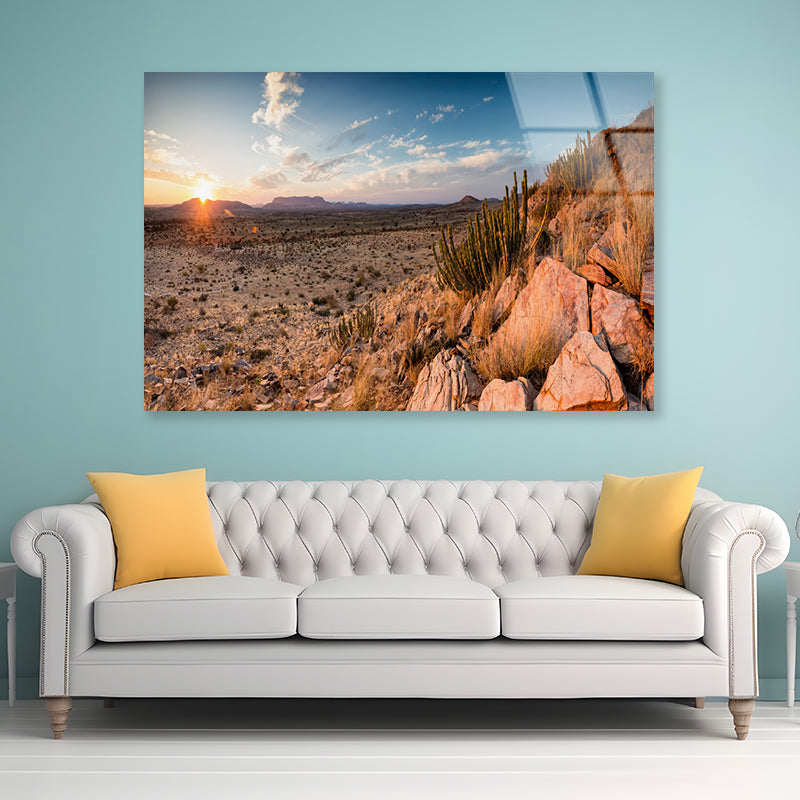 Rocks, Plants & Mountains in South Africa Acrylic Glass Print Tempered Glass Wall Art 100% Made in Australia Ready to Hang