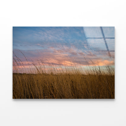 Sunset over Grasses with Beautiful Sky Acrylic Glass Print Tempered Glass Wall Art 100% Made in Australia Ready to Hang