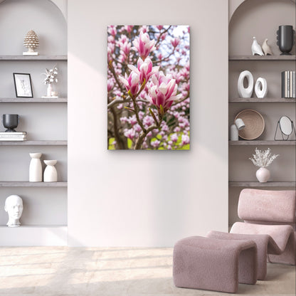 Pink Magnolia Tree Flowers Spring Bloom 40x60cm Metal Print Ready to Hang