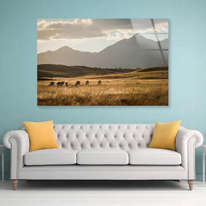 Sonoita Antelope Africa Acrylic Glass Print Tempered Glass Wall Art 100% Made in Australia Ready to Hang