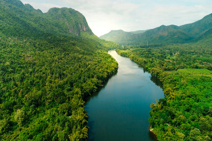 Aerial View Of River in Tropical Green Forest with Mountains in Background Home Decor Premium Quality Poster Print Choose Your Sizes