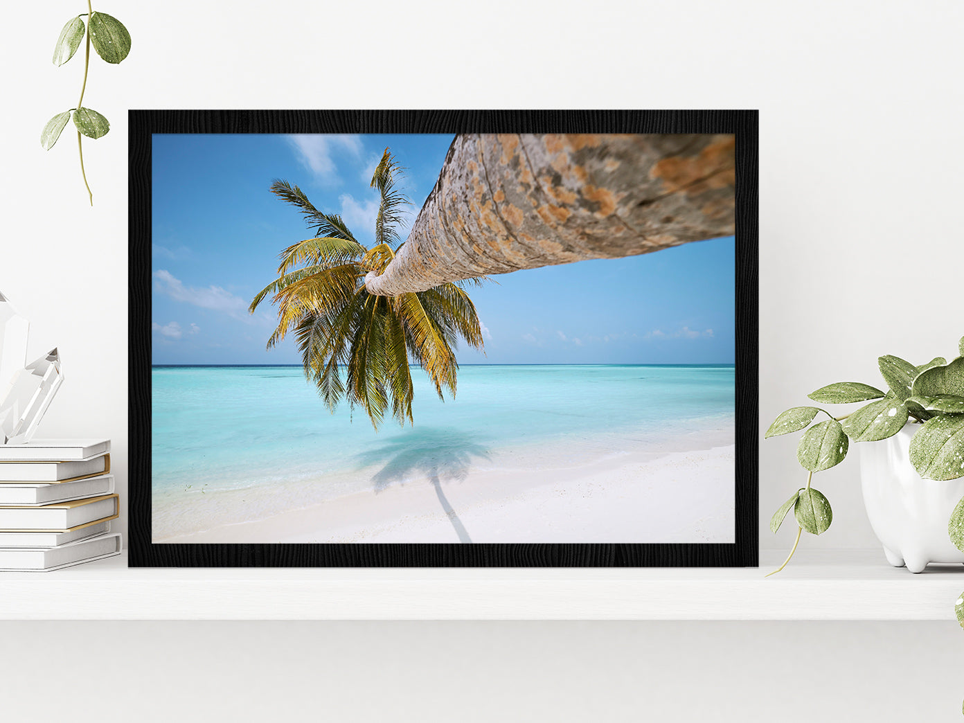 Palm Tree On White Sand Beach Glass Framed Wall Art, Ready to Hang Quality Print Without White Border Black