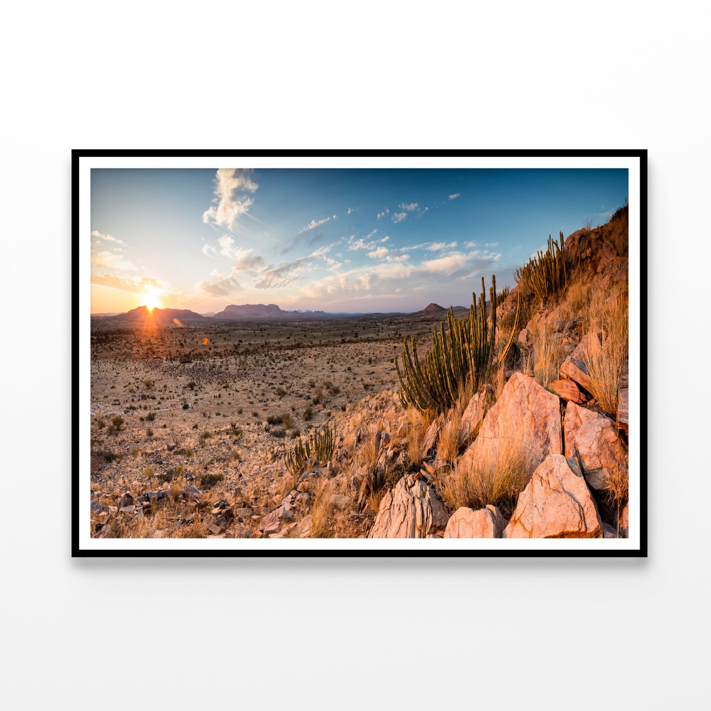 Rocks, Plants & Mountains in South Africa Home Decor Premium Quality Poster Print Choose Your Sizes