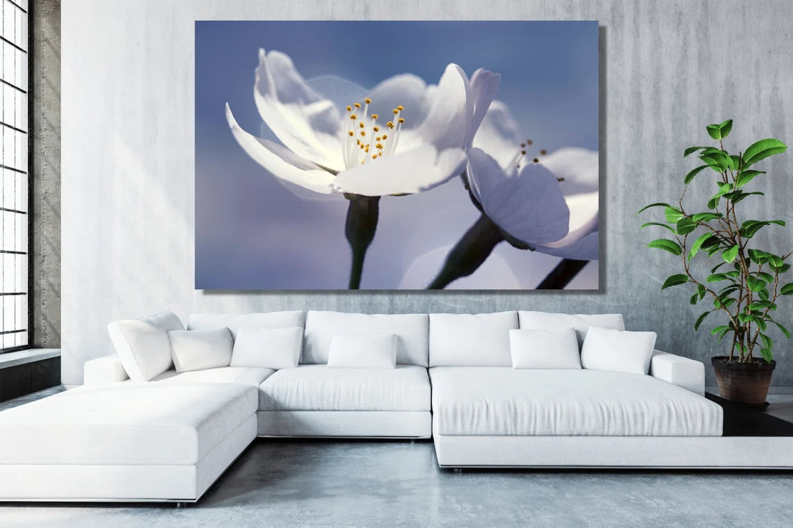 Japanese Cherry Flower Acrylic Glass Print Tempered Glass Wall Art 100% Made in Australia Ready to Hang