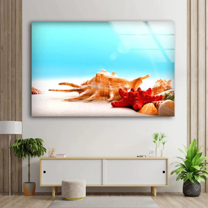 Sea Shells on Sand UV Direct Aluminum Print Australian Made Quality