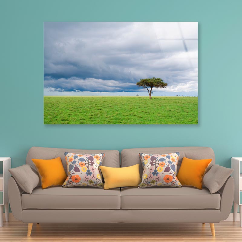 Detached Tree Green Grassland in Savanna Acrylic Glass Print Tempered Glass Wall Art 100% Made in Australia Ready to Hang