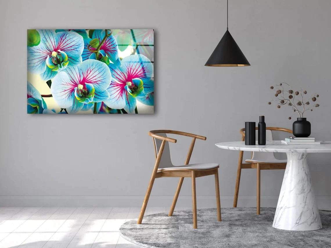 Blue Orchid Flowers UV Direct Aluminum Print Australian Made Quality