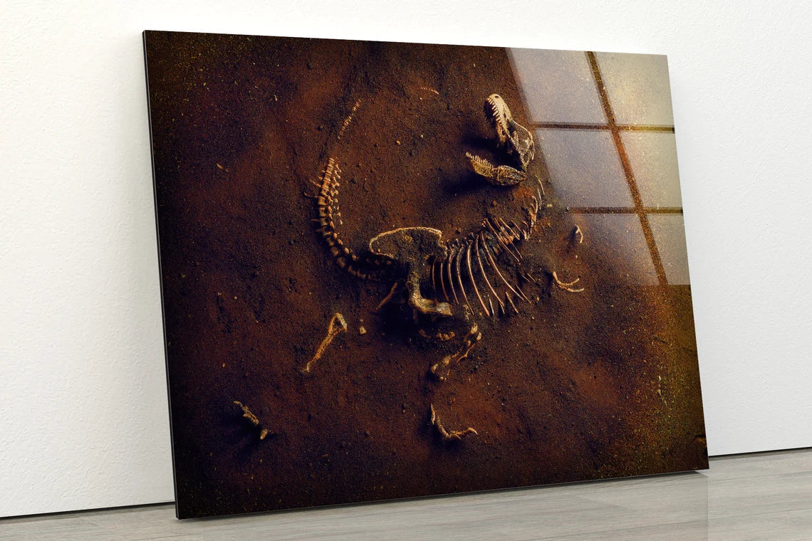 Dinosaur Fossil View UV Direct Aluminum Print Australian Made Quality