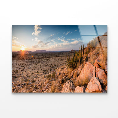 Rocks, Plants & Mountains in South Africa Acrylic Glass Print Tempered Glass Wall Art 100% Made in Australia Ready to Hang