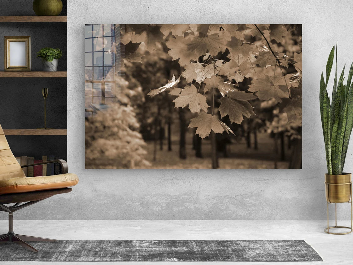 Autumn Tree Faded View UV Direct Aluminum Print Australian Made Quality