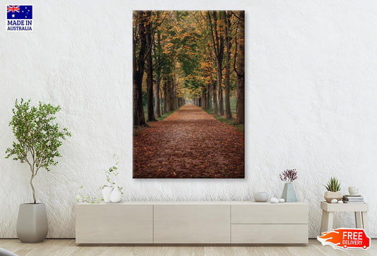 Avenue Covered by Fall Leaves in Pilnitz Park, Dresden, Germany Wall Art Decor 100% Australian Made