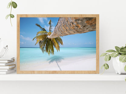 Palm Tree On White Sand Beach Glass Framed Wall Art, Ready to Hang Quality Print Without White Border Oak