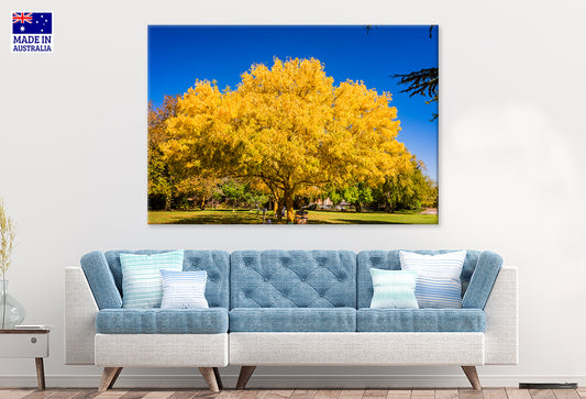 Scenic Clare Valley Vineyards South Australia Wall Art Decor 100% Australian Made