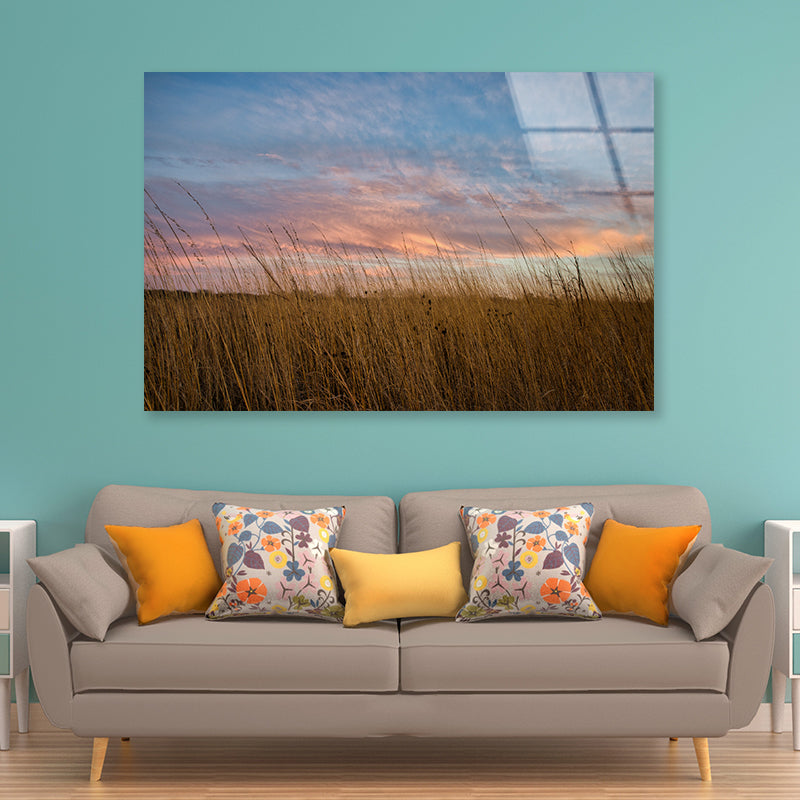 Sunset over Grasses with Beautiful Sky Acrylic Glass Print Tempered Glass Wall Art 100% Made in Australia Ready to Hang