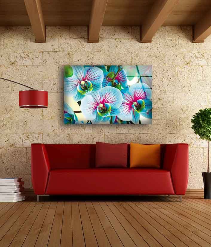 Blue Orchid Flowers UV Direct Aluminum Print Australian Made Quality