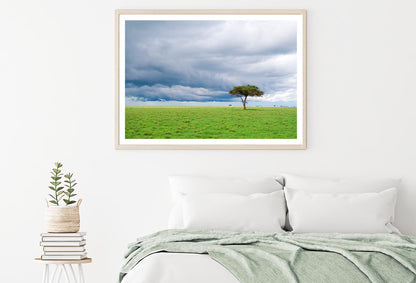 Detached Tree Green Grassland in Savanna Home Decor Premium Quality Poster Print Choose Your Sizes