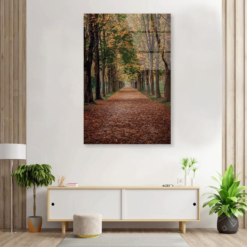 Avenue Covered by Fall Leaves in Pilnitz Park, Dresden, Germany Portrait Photograph Acrylic Glass Print Tempered Glass Wall Art 100% Made in Australia Ready to Hang