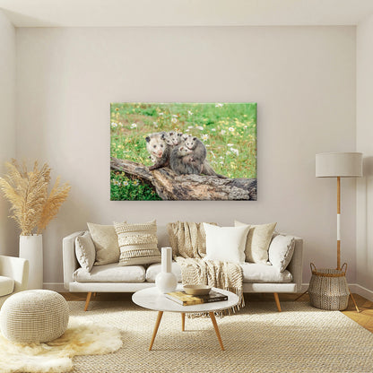 North American Mother Opossum Carrying Babies on Back Wall Art Decor 100% Australian Made