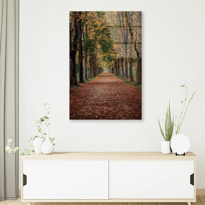 Avenue Covered by Fall Leaves in Pilnitz Park, Dresden, Germany Portrait Photograph Acrylic Glass Print Tempered Glass Wall Art 100% Made in Australia Ready to Hang