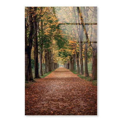 Avenue Covered by Fall Leaves in Pilnitz Park, Dresden, Germany Portrait Photograph Acrylic Glass Print Tempered Glass Wall Art 100% Made in Australia Ready to Hang