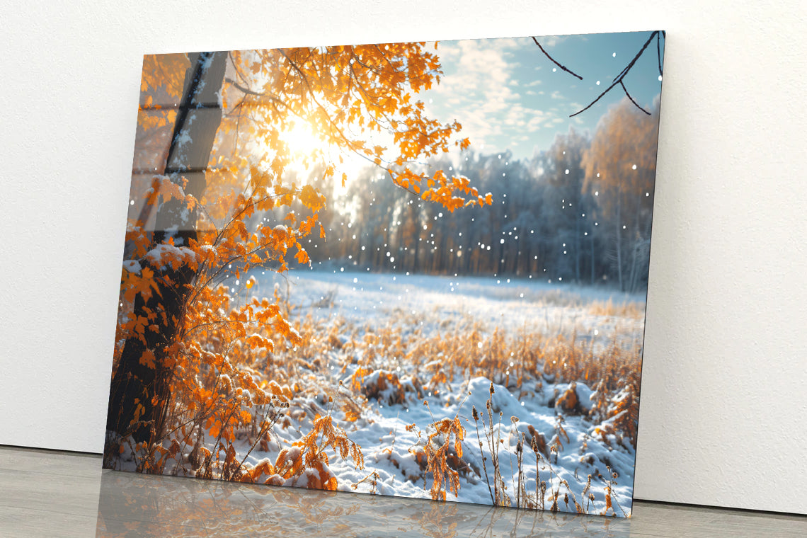 Winter with Autumn Leaves Acrylic Glass Print Tempered Glass Wall Art 100% Made in Australia Ready to Hang