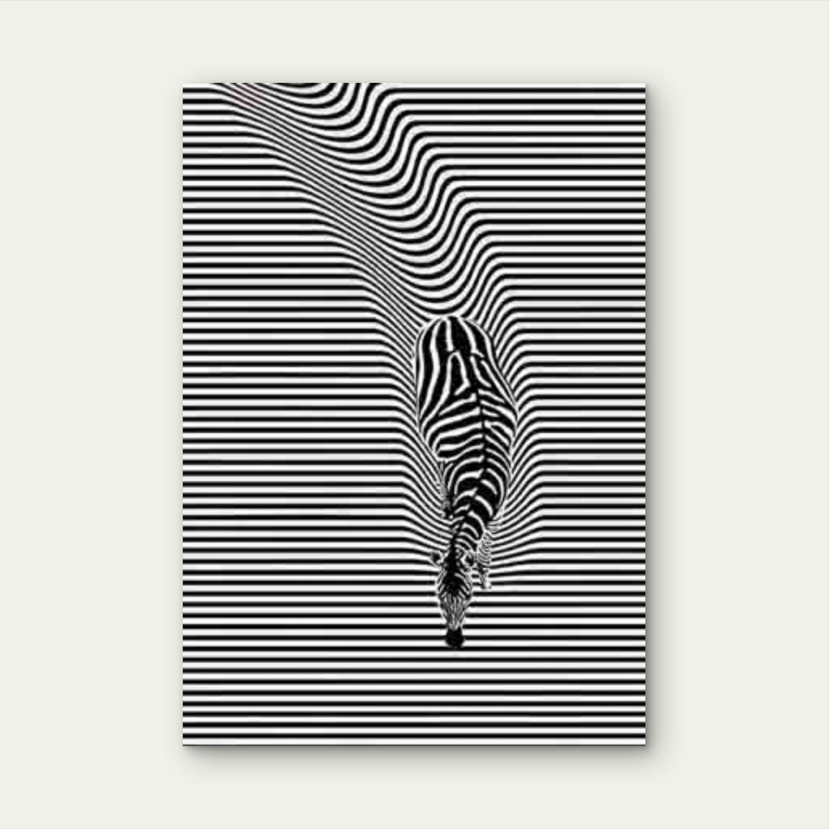 Zebra Optical Illusion Metal Print Ready to Hang