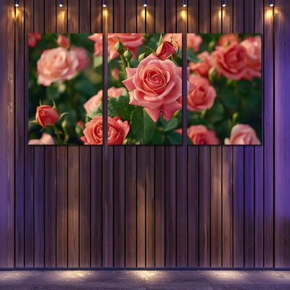 3pcs Rose Floral Garden Illustration Wall Art Set Canvas Framed 40x60cm - High Quality Print 100% Australian Made Wall Canvas Ready to Hang