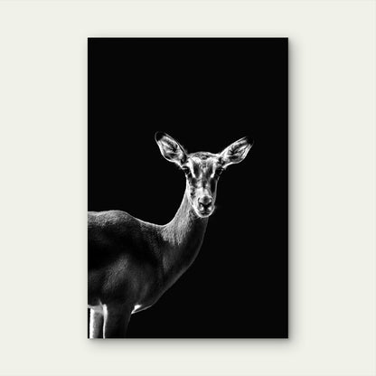 Portrait Impala Grayscale Illustration 40x60cm Metal Print Ready to Hang