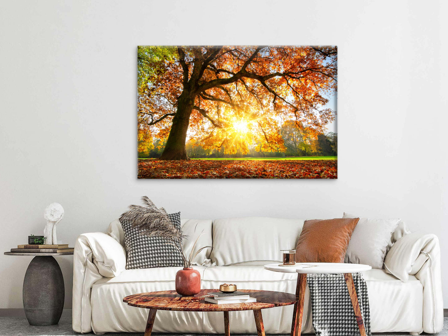 Autumn Tree with Sunshine Photograph Print 100% Australian Made