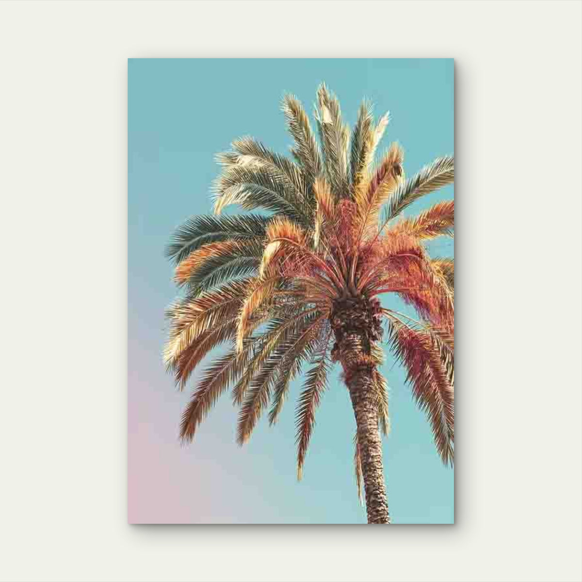 Pastel Tropical Palm Tree 60x90cm Metal Print Ready to Hang