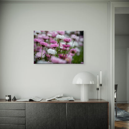 Australian Pink and White Paper Daisy Wall Art Decor 100% Australian Made