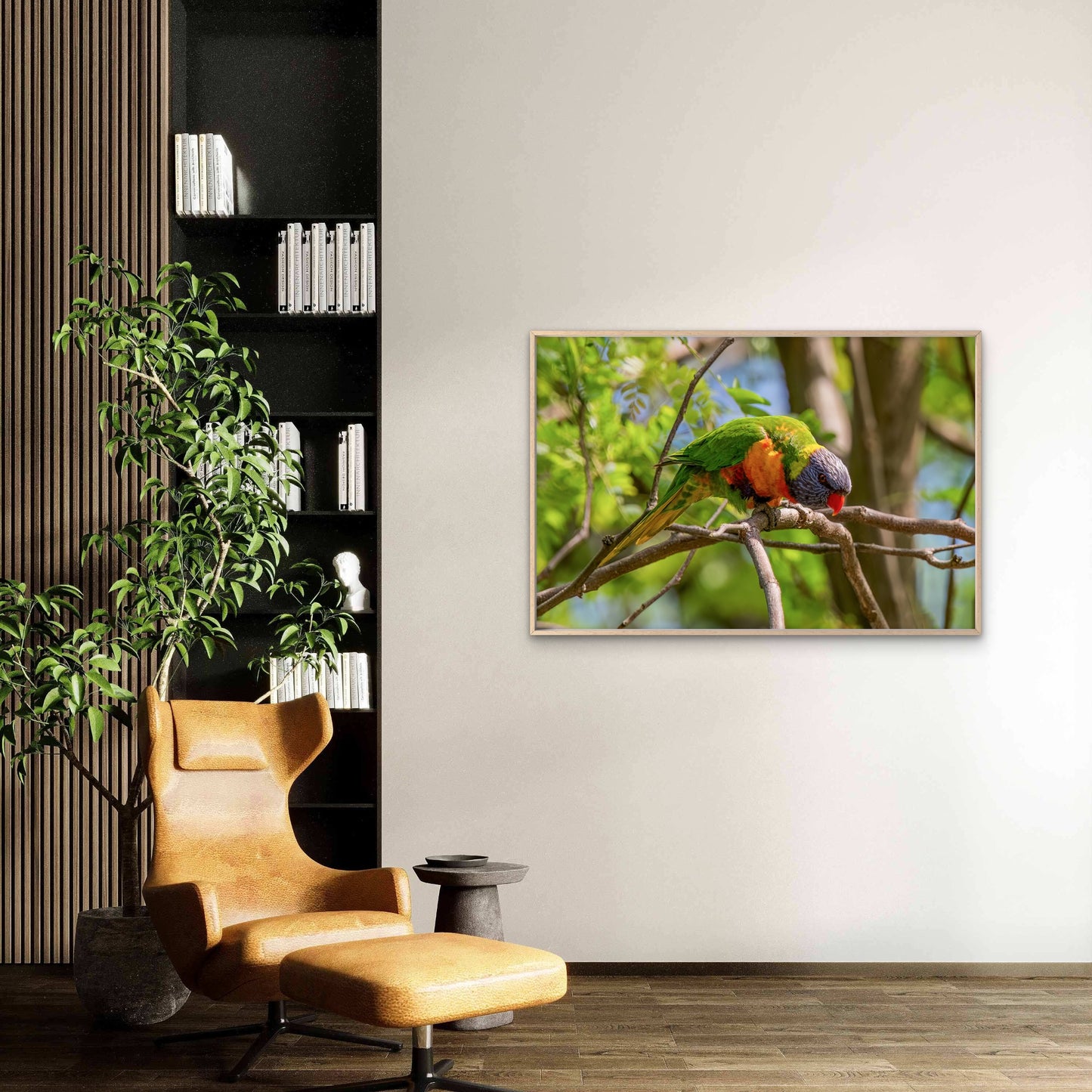 Cute Rainbow Lorikeet Australia Wall Art Decor 100% Australian Made