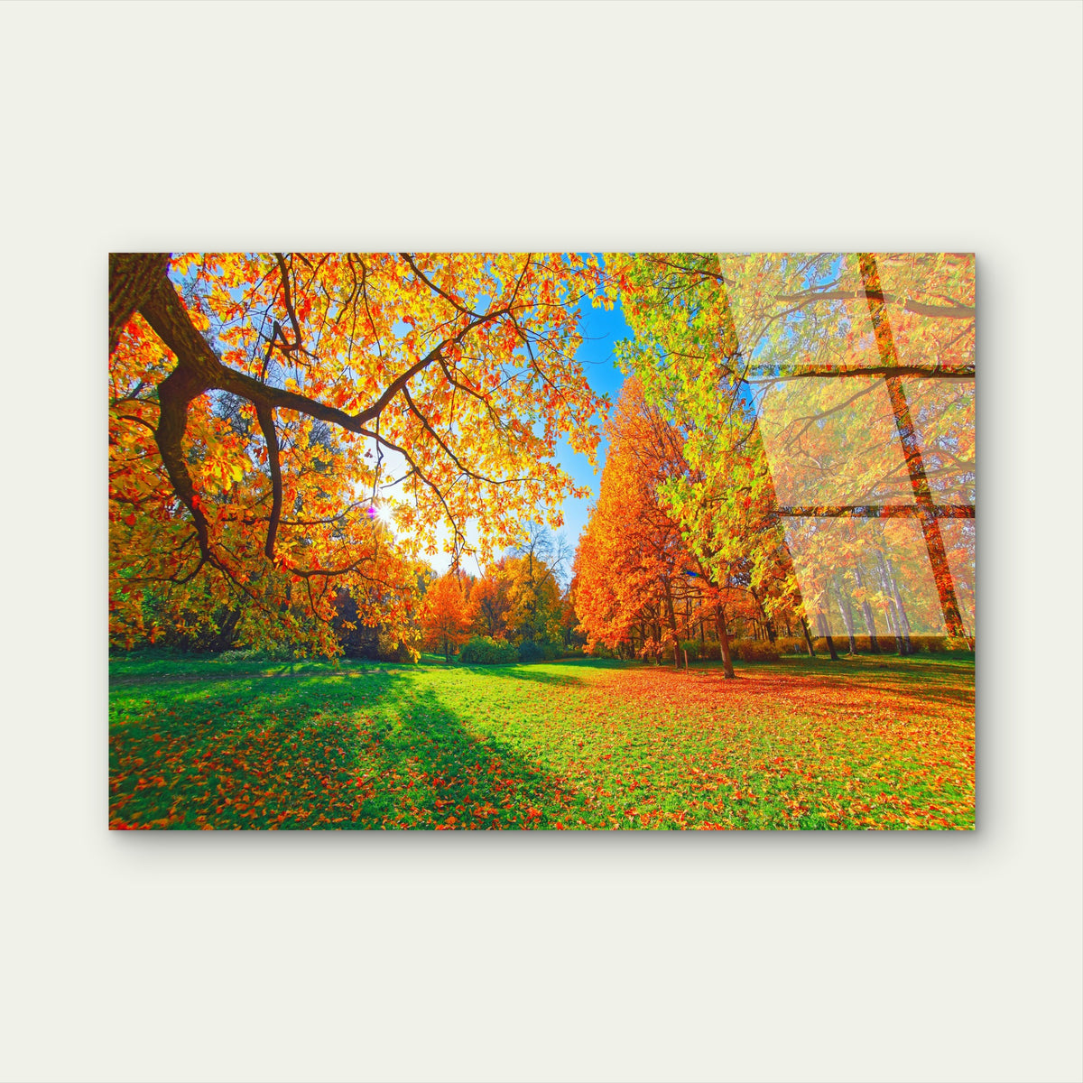 Autumn Forest Golden Leaves Sunny Park Acrylic Glass Printing Wall Art Australian Made Quality