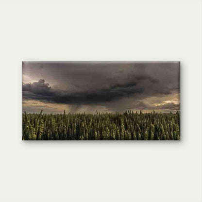 Stormy Sky Over Wheat Field Wall Art Canvas Office Home Room Framed 120x60cm