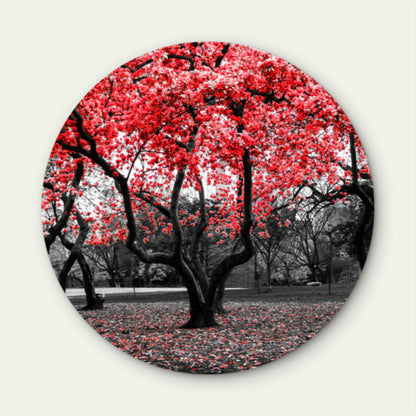 Red Flower Tree Black and White Forest Acrylic Glass Rounded Print Tempered Glass Wall Art 100% Made in Australia Ready to Hang