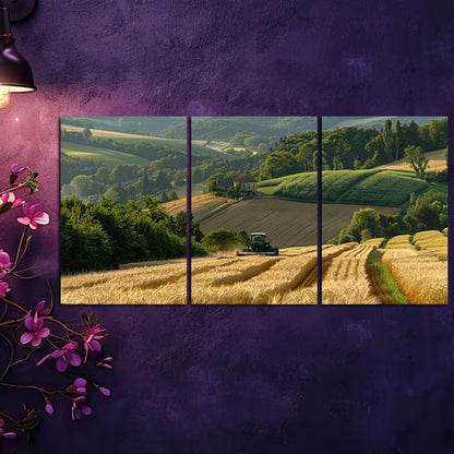 3pcs Golden Valley Harvest Scene with Tractor & Rolling Fields Wall Art Set Canvas Framed 40x60cm - High Quality Print 100% Australian Made Wall Canvas Ready to Hang