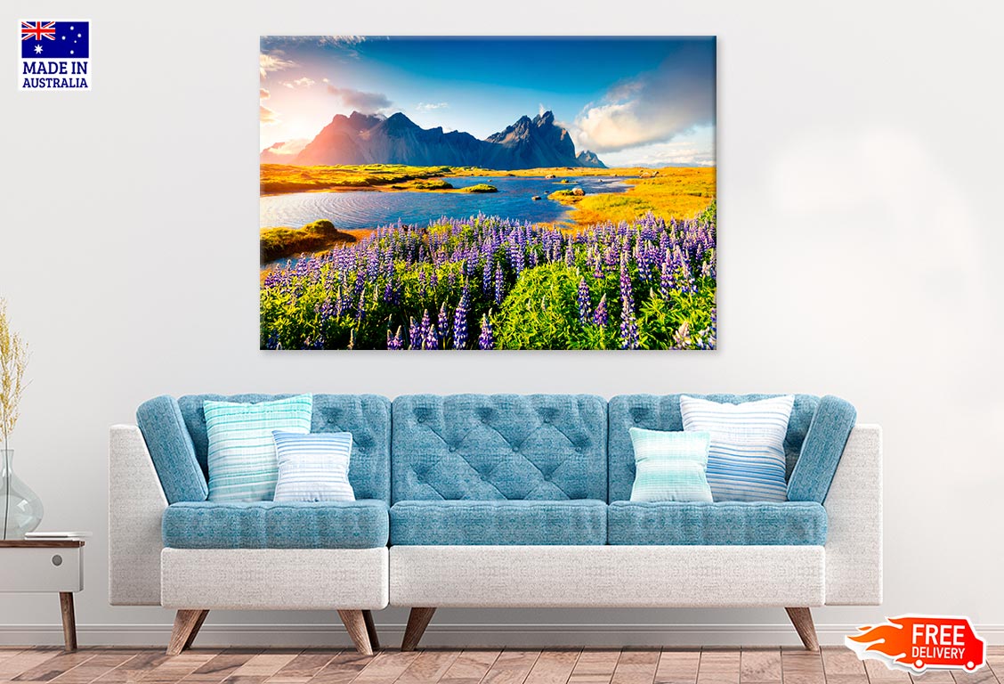Lupine Flowers On The Stokksnes Print 100% Australian Made