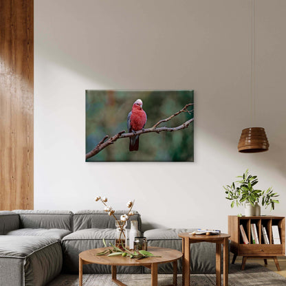 Galah South East Queensland Wall Art Decor 100% Australian Made