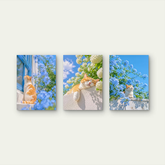3pcs Cute Ginger Cat Sleeping Blue Flowers Wall Art Set Canvas Framed 50x70cm - High Quality Print 100% Australian Made Wall Canvas Ready to Hang