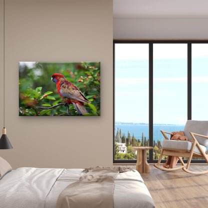 Crimson Rosella on Branch Wall Art Decor 100% Australian Made