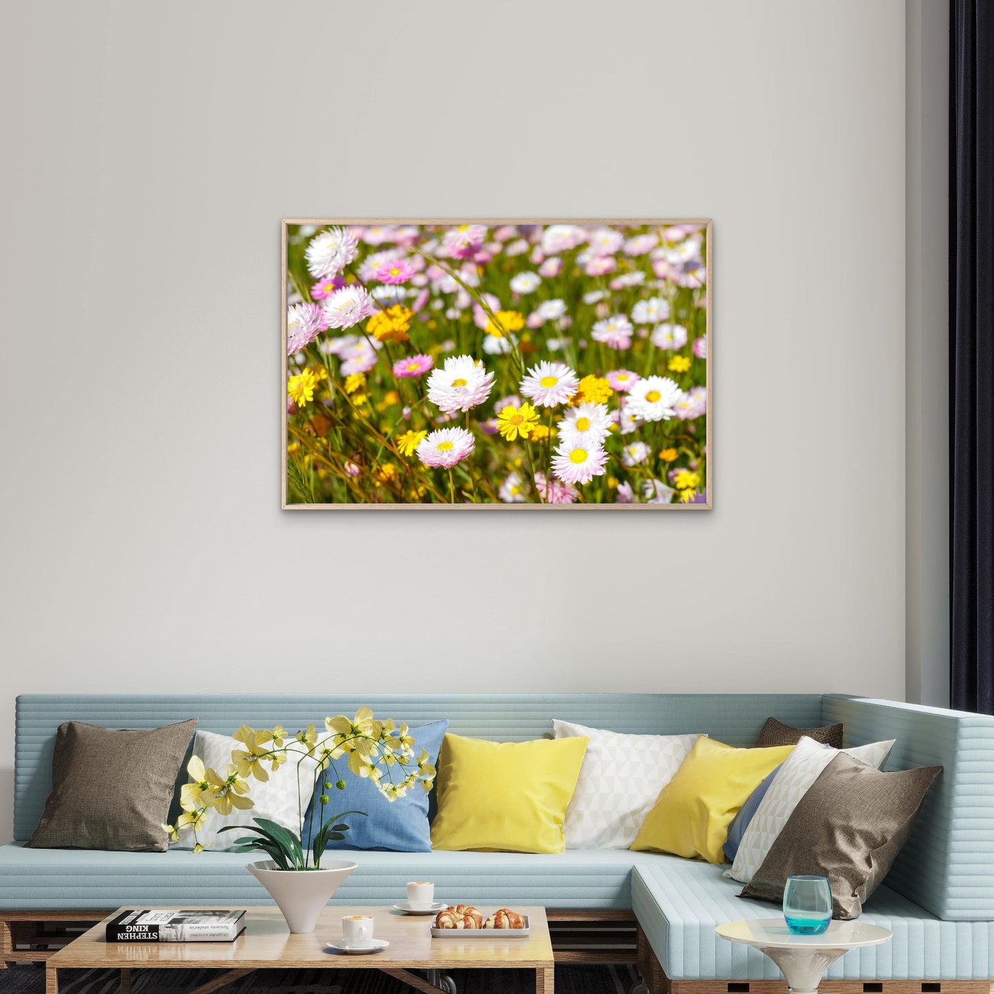Australian Everlasting Paper Daisies Kings Park Wall Art Decor 100% Australian Made