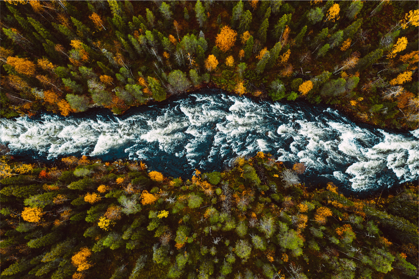 River Through Fall Forest Autumn Glass Framed Wall Art, Ready to Hang Quality Print