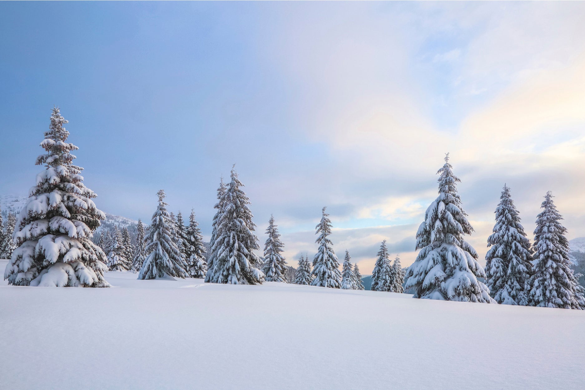 Meadow Covered With Frost Trees Home Decor Premium Quality Poster Print Choose Your Sizes