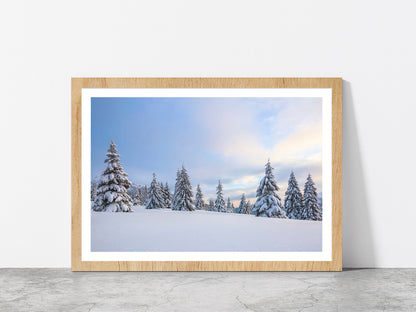 Meadow Covered With Frost Trees Glass Framed Wall Art, Ready to Hang Quality Print With White Border Oak