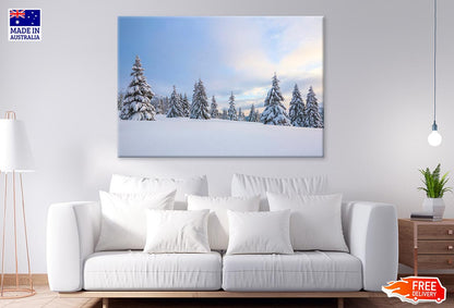 Meadow Covered With Frost Trees Print 100% Australian Made