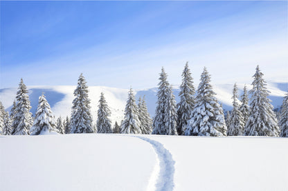 Mountain With Snow Peaks & Forest Glass Framed Wall Art, Ready to Hang Quality Print