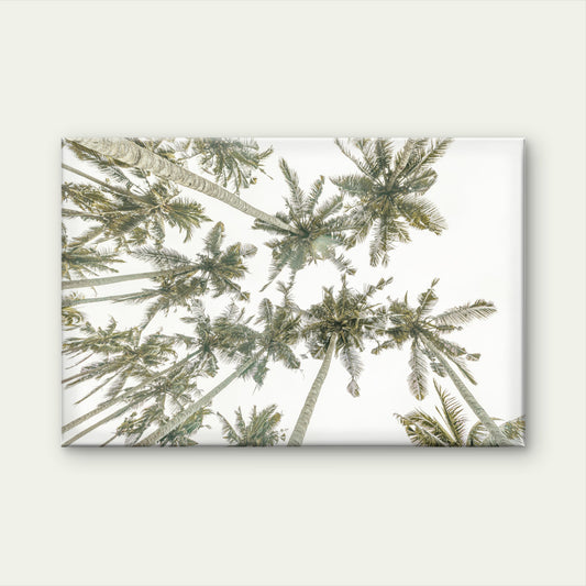 Bohemian Tropical Palm Trees Florida Beach Wall Art Decor 100% Australian Made