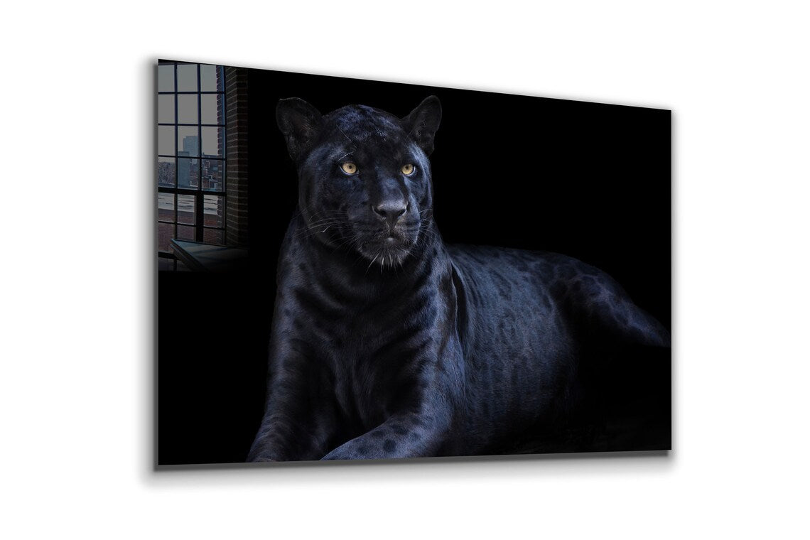 Black Panther Closeup UV Direct Aluminum Print Australian Made Quality